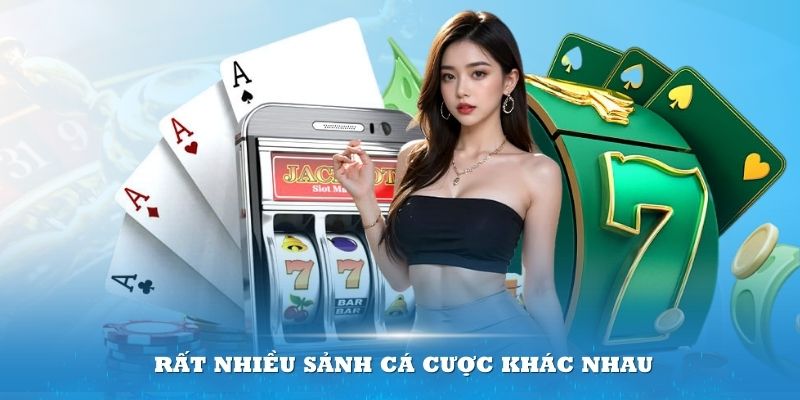 Có rất nhiều sảnh cá cược khác nhau cho người chơi thỏa sức lựa chọn